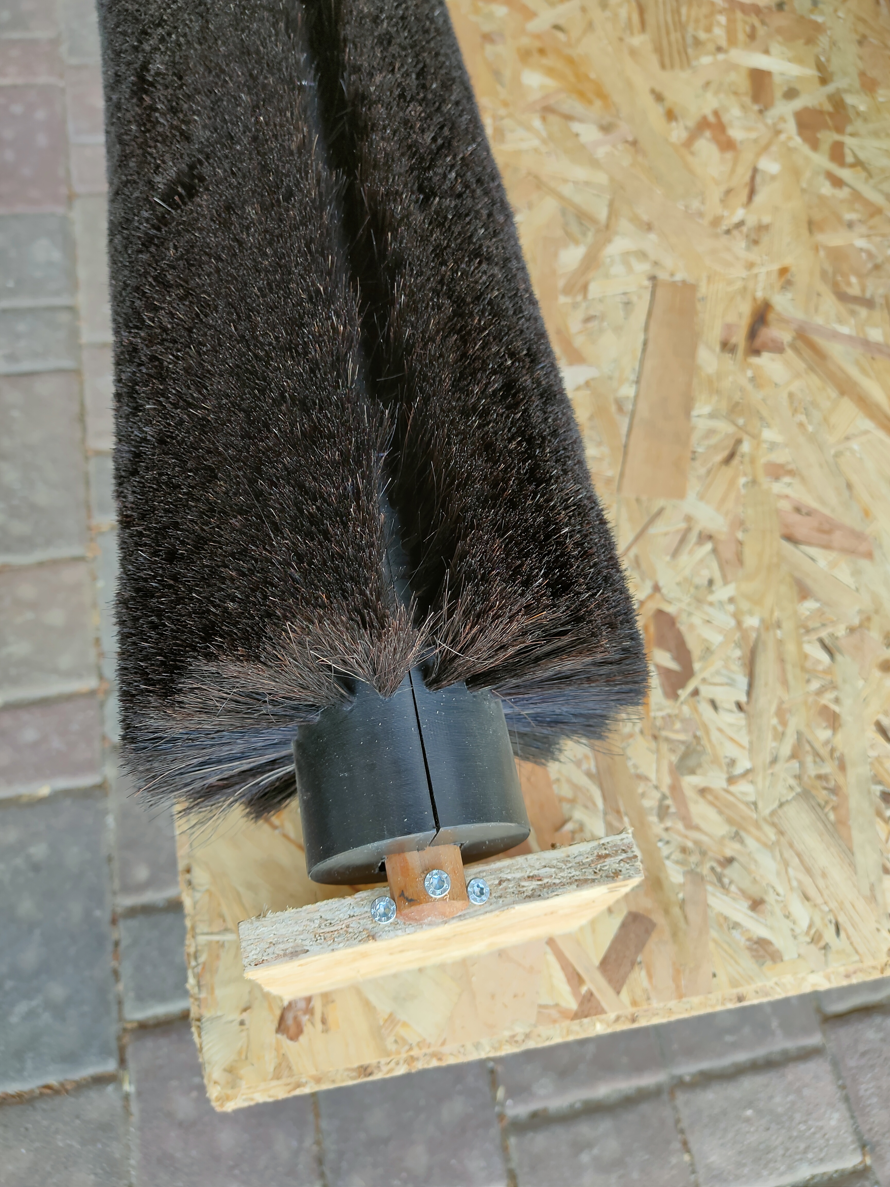 IMG20230607143220 (1)